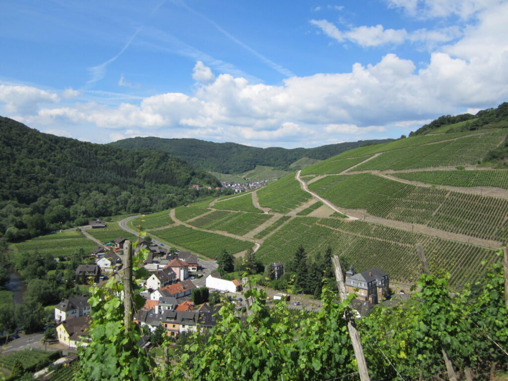 Blick auf Marienthal